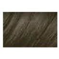 Clairol Beautiful Collection Advanced Gray Solution 3oz 4A - Chai Brown