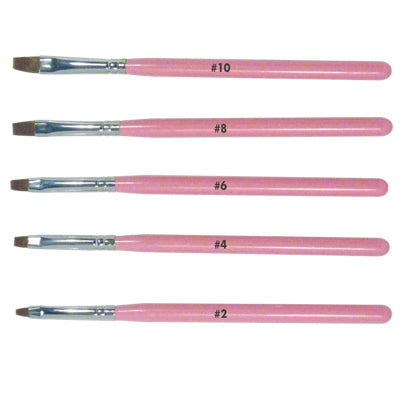 DL Pro 6pc Gel Brush Set With Holder (DL-C316)
